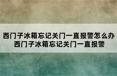 西门子冰箱忘记关门一直报警怎么办 西门子冰箱忘记关门一直报警